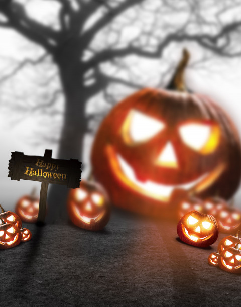 Halloween Photo Editing HD Background for CB Picsart