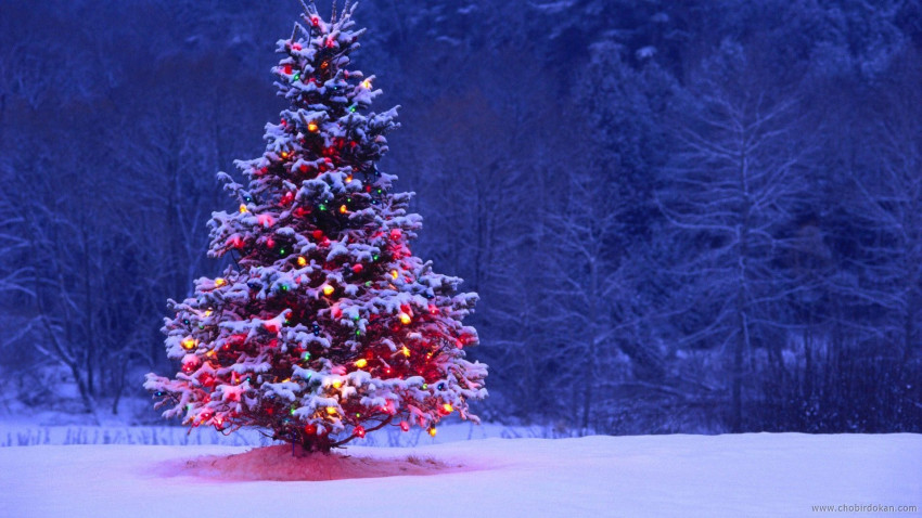 Happy Christmas Wallpapert HD Photos For Desktop