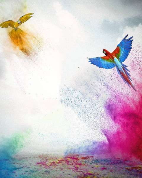 Happy Holi Colorful Background For Picsart & Photoshop Photo Editing