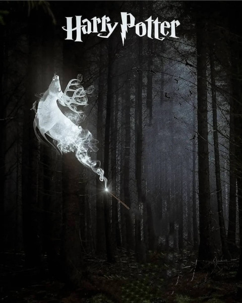 Harry potter PicsArt Cb Background Download
