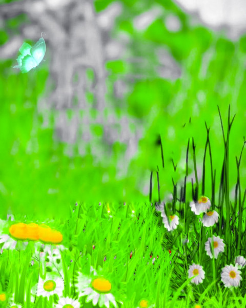 Hd Blur CB Editing New Grass Background