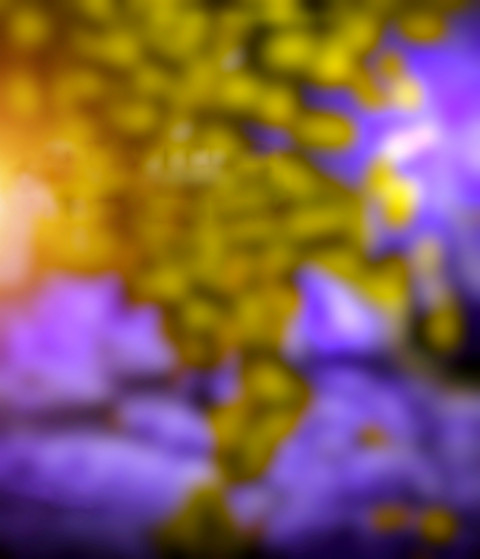 High Blur CB Editing Background New HD