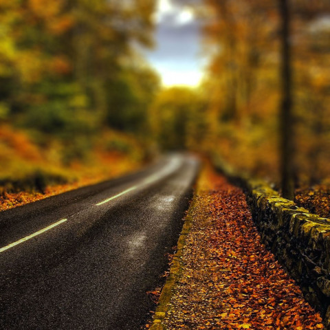 Highway Road Green Forest CB Picsart Background HD