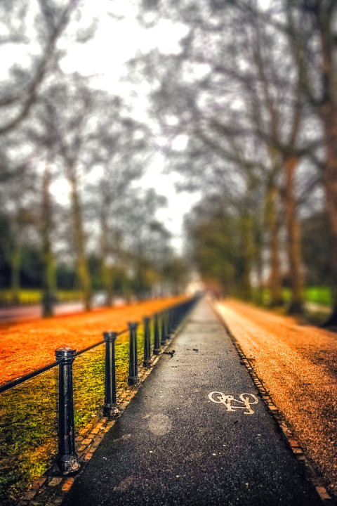 Highway Road Green Forest CB Picsart Background HD Pic