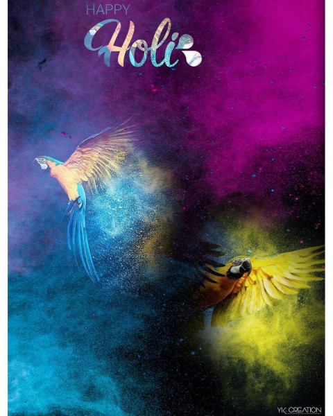 Holi Photo Editing Background For Picsart