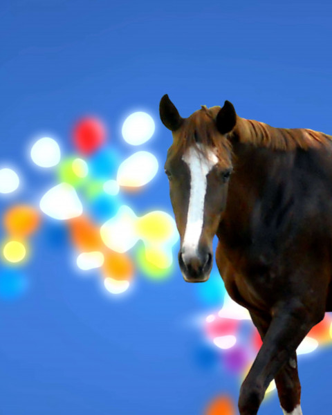 Horse PicsArt CB Editing Background HD Download
