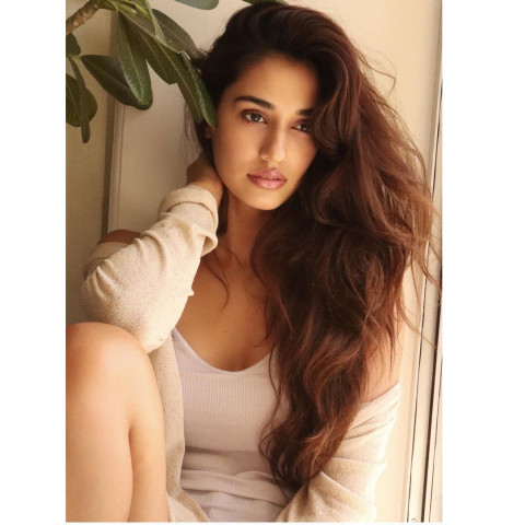 Hot Disha Patani Images Photos For WhatsApp DP