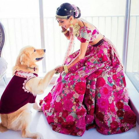 Indian Wedding Girls Photoshoot Ideas Full HD Wallpapers