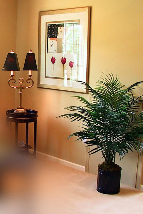 Indoor Home Studio Photo Backgrounds Download