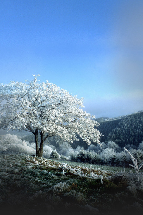 Indoor Studio Background HD Images Download Free