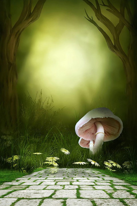 Indoor Studio Flowers Background Download Photo