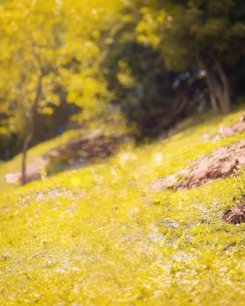 Instagram Editing Backgrounds Download New