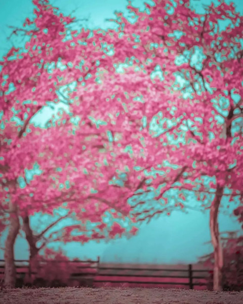 Instagram Viral Backgrounds For CB PicsArt Photo