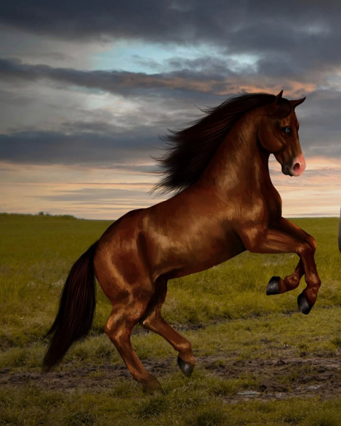 Instagram Viral Horse Photo Editing Background