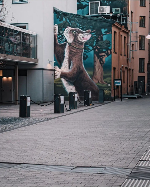 Instagram Viral Photo Editing Background Full HD Free