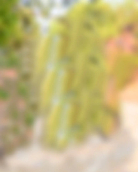 Instagram Viral Photo Editing Background Full HD Pics