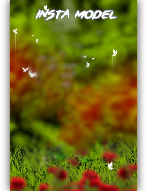 Instamodel Phoptoshop CB Editing Background