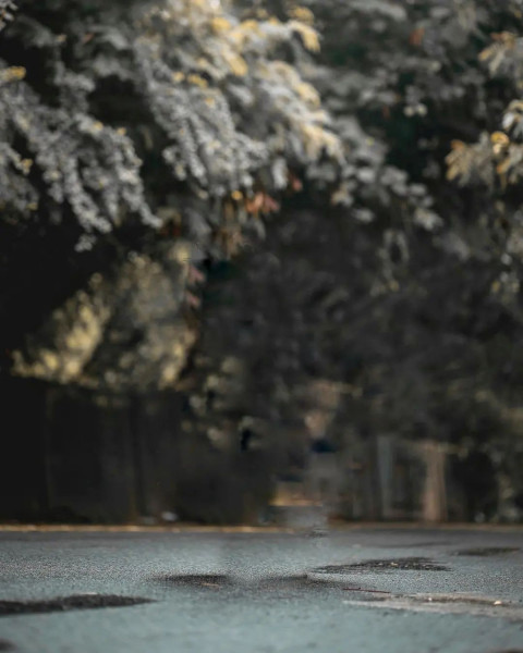 Instgram Viral Snapseed Photo Editing HD Background Pic