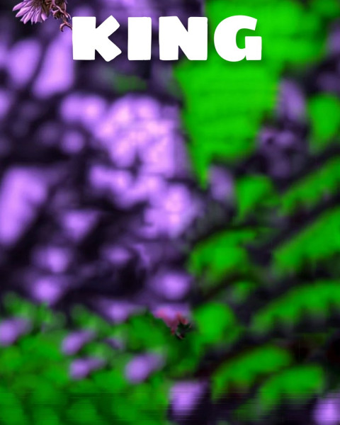 King CB Photo Editing Background Download HD