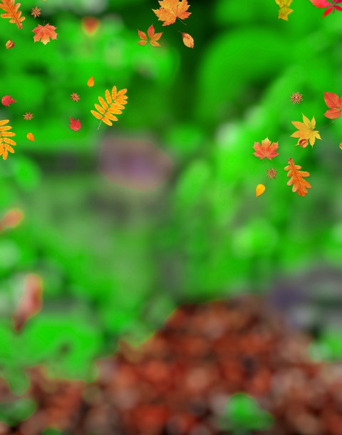 Leaf Photoshop CB Background Full HD Download For Editing