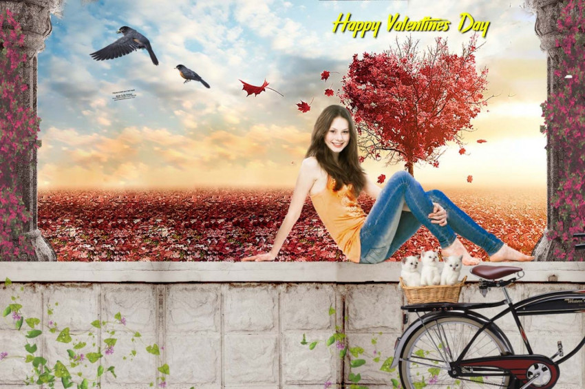 Love Girl Valentine Day Photo Editing Background For PicsArt