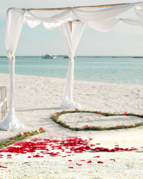 Love Picsart Photo Editing Background Full HD