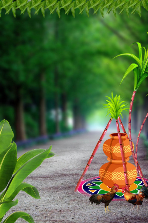 Makar Sankranti Editing CB Background Photoshop