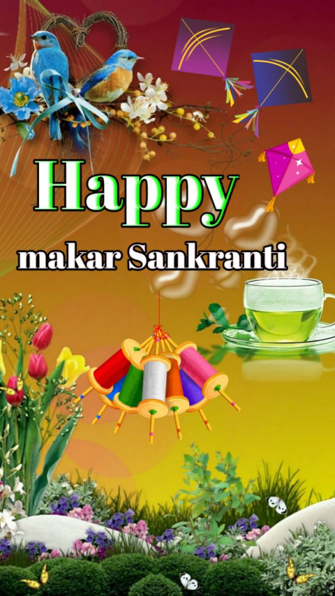Makar Sankranti Lohri Photos Wallpapers For Mobile WhatsApp  Dp