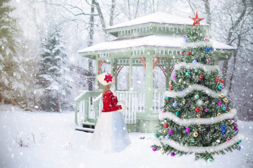 Merry Christmas Day Tree CB PicsArt Background