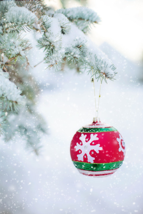 Merry Christmas Day Tree CB PicsArt Background Winter