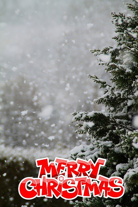 Merry Christmas Day Tree CB PicsArt Editing Background