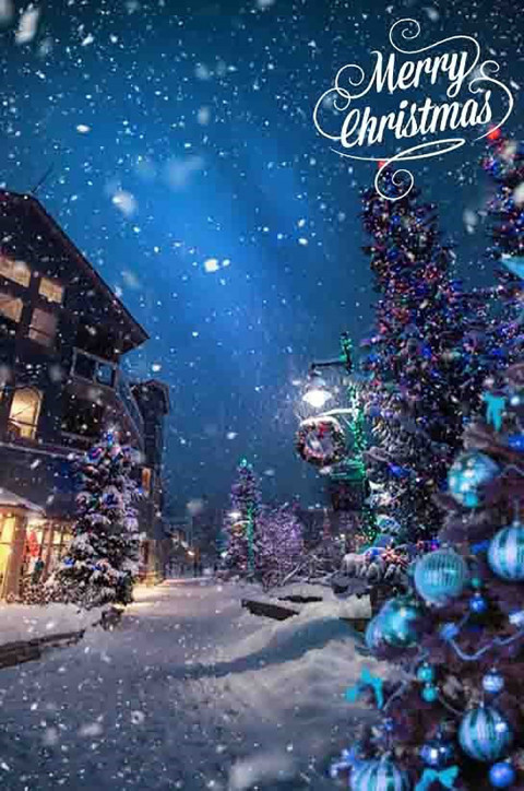 Merry Christmas Day Tree CB PicsArt Editing Background Hd