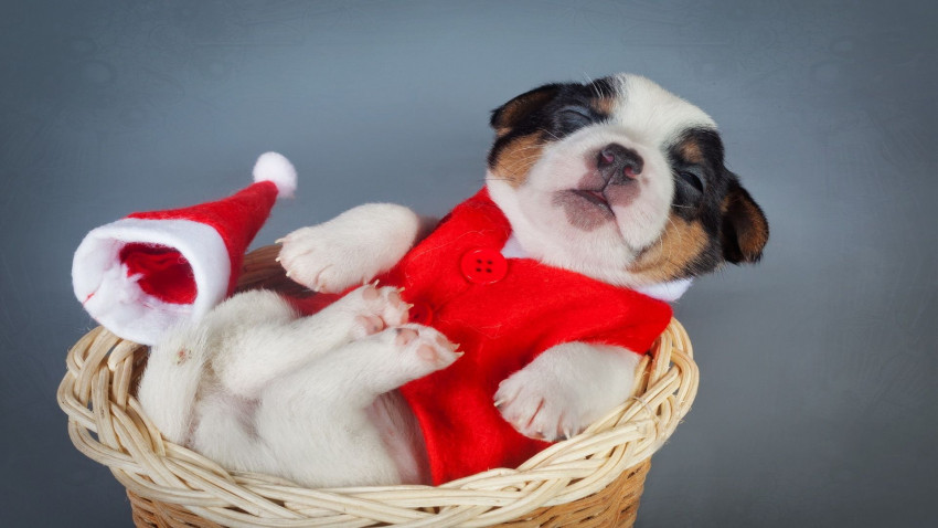 Merry Christmas Wallapper For Desktop Full HD