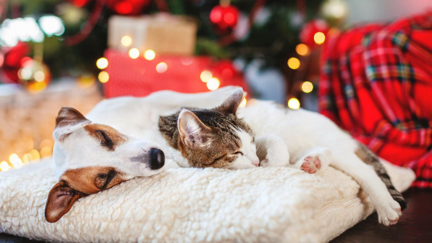 Merry Christmas Wallapper For Desktop Full HD