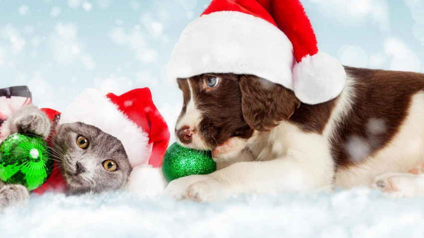 Merry Christmas Wallapper For Desktop Full HD