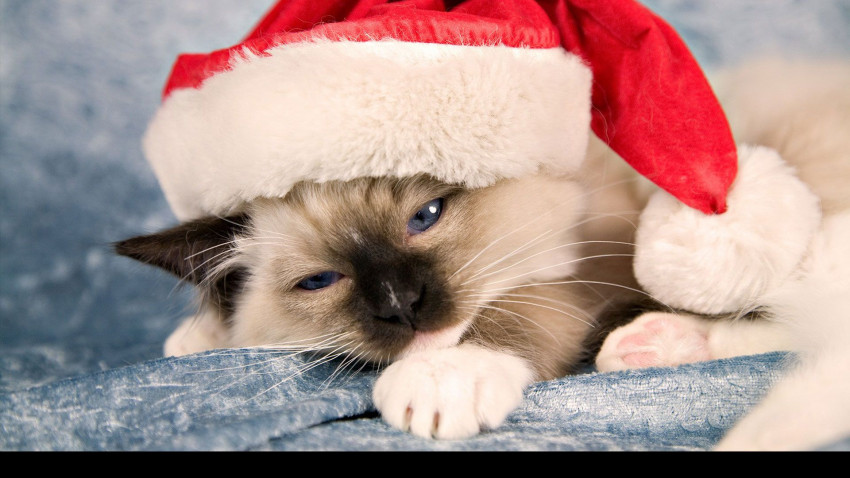 Merry Christmas Wallapper For Desktop Full HD