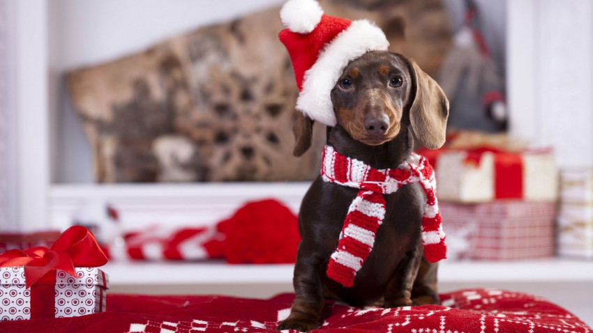 Merry Christmas Wishes Pictures For WhatsApp Full HD