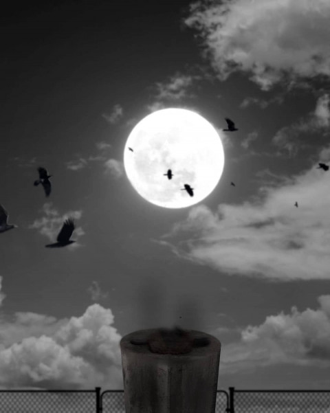 Moon Picsart Background k HD images Download