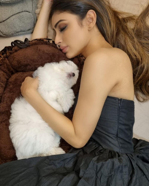 Mouni Roy HD Wallpapers Photos WhatsApp Dp