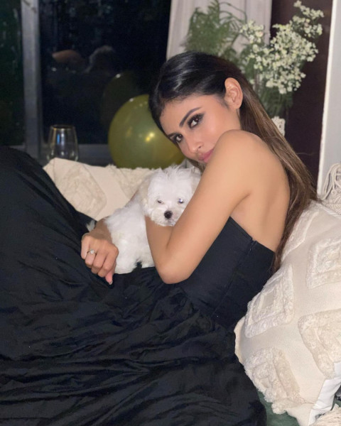 Mouni Roy HD Wallpapers Photos WhatsApp Dp