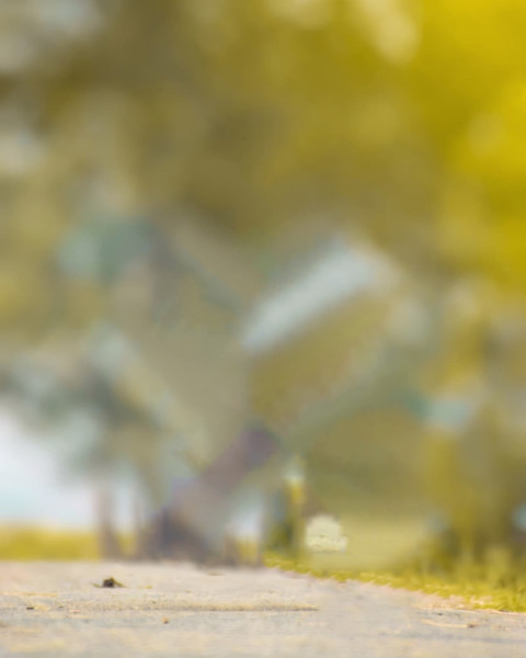 Nature Autodesk Photo Editing Background Download Free