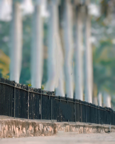 Nature Autodesk Photo Editing Background Download Full HD