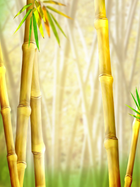 Nature Backdrop Studio Editing Background Full HD Free