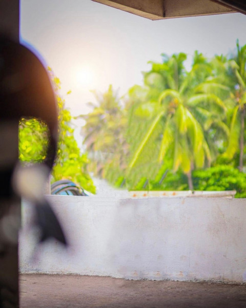 Nature Background For Sketchbook Photo Editing