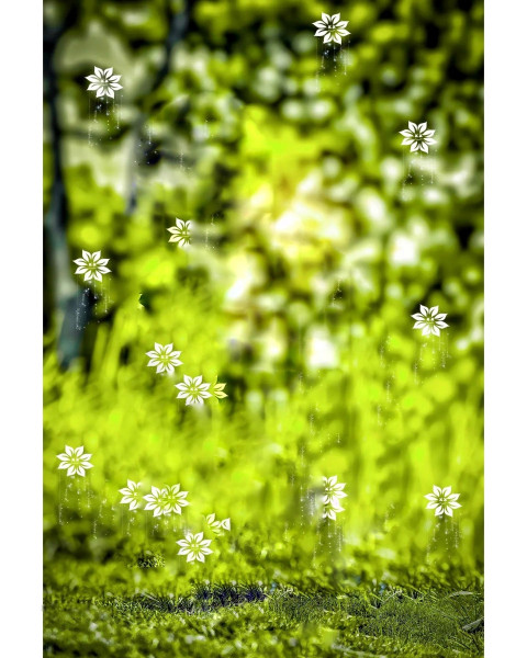 Nature Background HD Download For CB Photoshop Editing