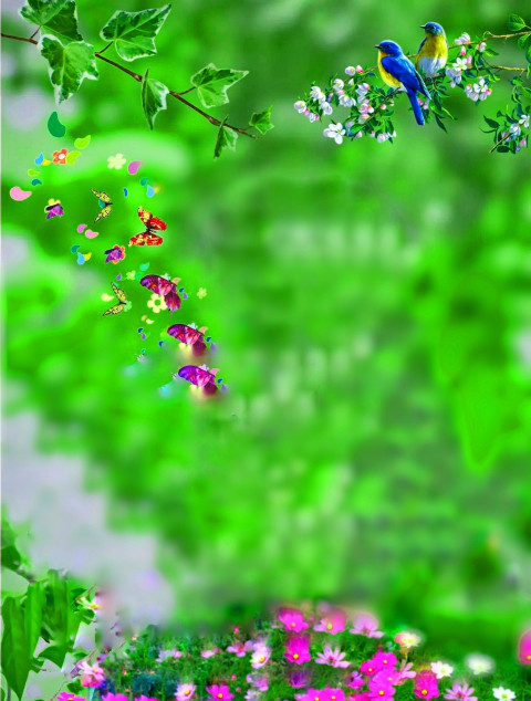 Nature Birds CB Editing Green Background Download