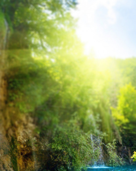 Nature Blur Cb Background for Photoshop Editing HD