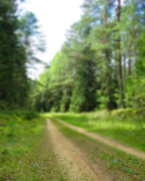 Nature Blur CB Editing Background Download New