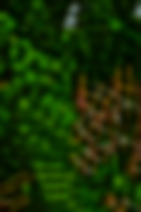 Nature Blur CB Editing Dark Background For PicsArt Photo