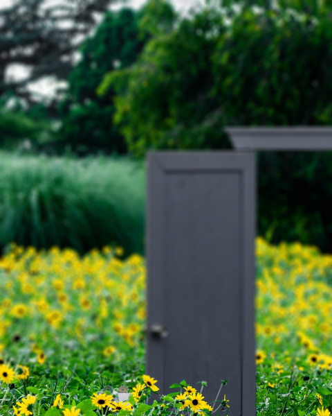 Nature Blur Garden Picsart Editing Background